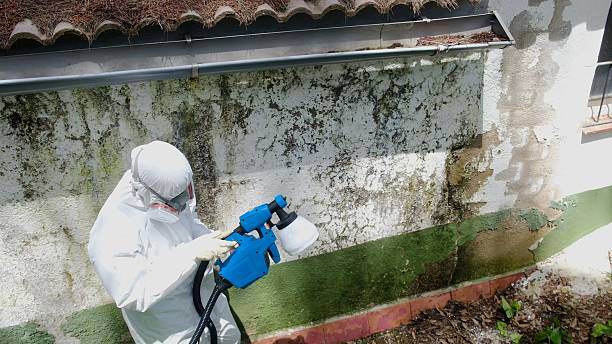 Top rated local Hvac And Air Duct Mold Remediation specialists in DuPont, WA